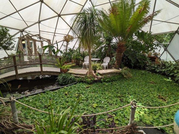 Quelle est l'efficacité des jardins flottants pour la dépollution des cours d'eau urbains ?